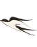重走丝绸之路